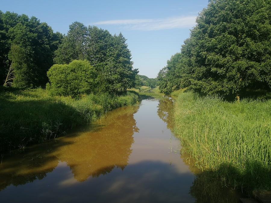 Rzeka Barycz.