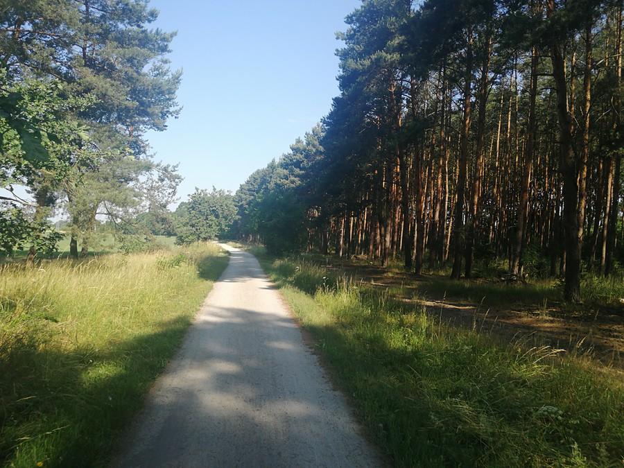 Z Rudy Milickiej, szutrową ścieżką kieruję się na Milicz.
