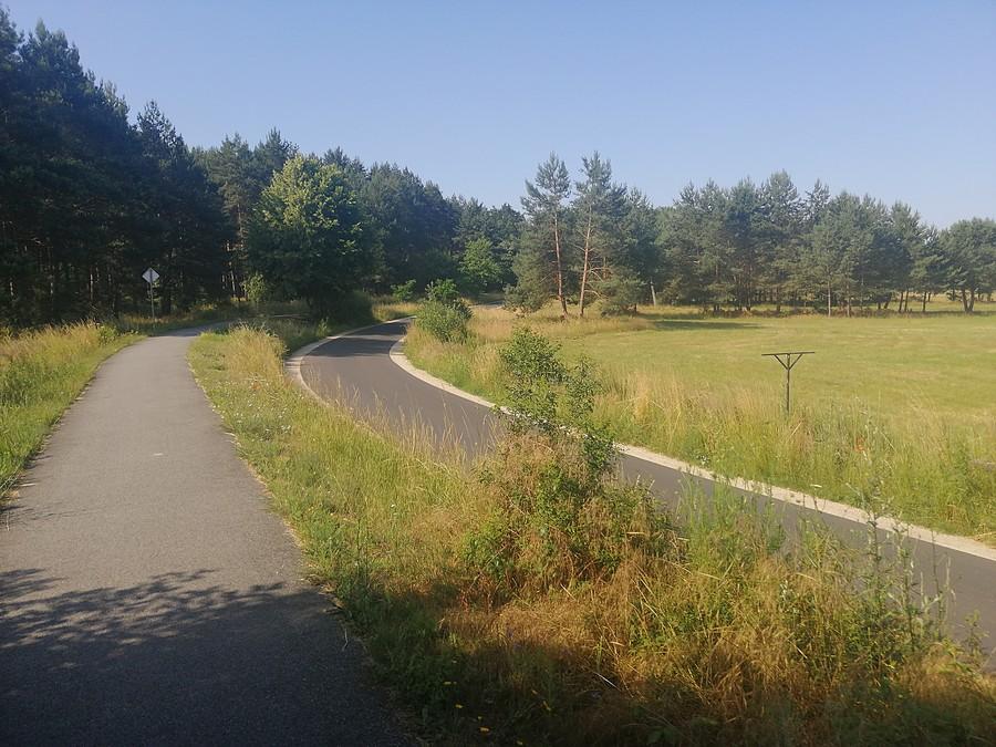 Cały czas ścieżką aż do Sułowa.