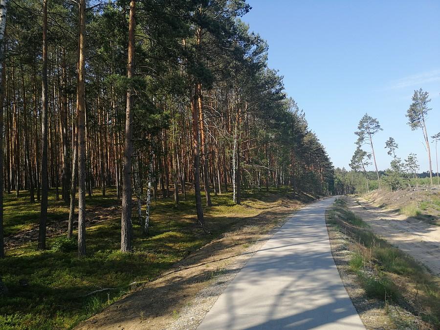 Pomiędzy Sułowem a Jamnikiem. Przez głęboki las, początkowo ubitym szutrem a potem bardzo równo położonymi betonowymi płytami.
