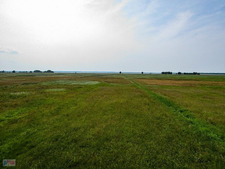 Łąki ciągną się do jeziora Gardno na przestrzeni ponad 1 km