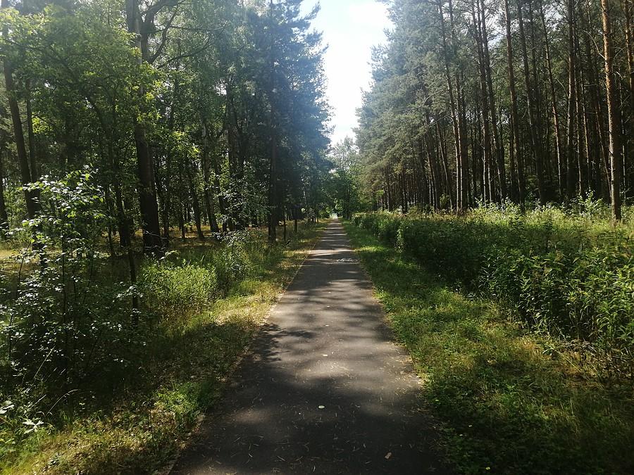 Żmigród - Prusice... Cały odcinek ścieżką rowerową.