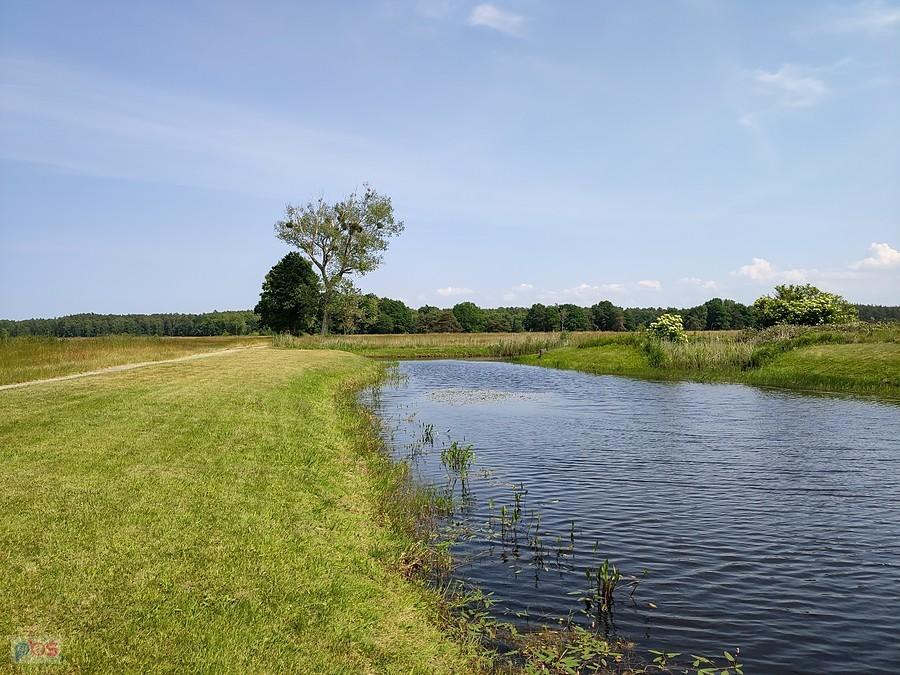 Z łąk gardnieńskich w kierunku Smołdzina
