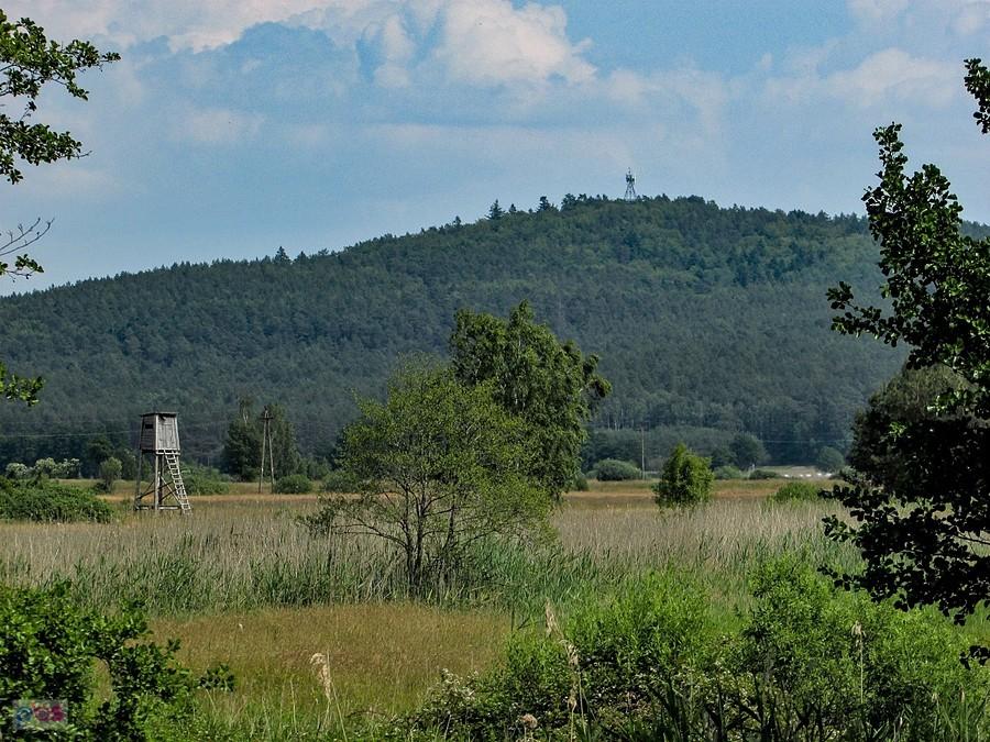Rowokół ze szlaku do Smołdzina