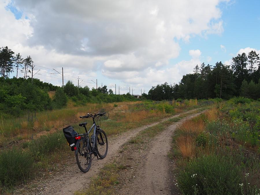 Okolice Gajca, widoczna obwodnica kolejowa Rzepina