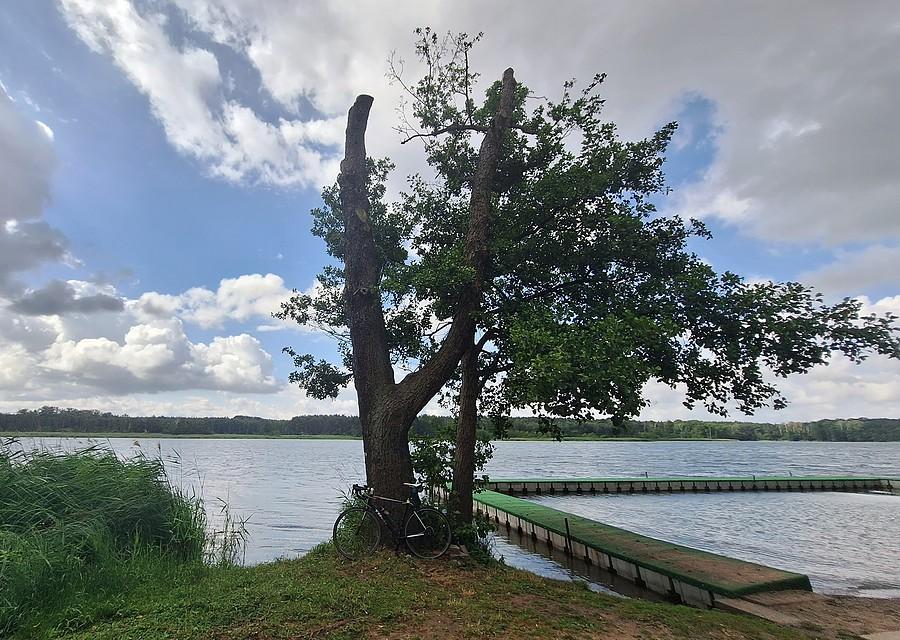 Gdzieś tam ukryłem rower