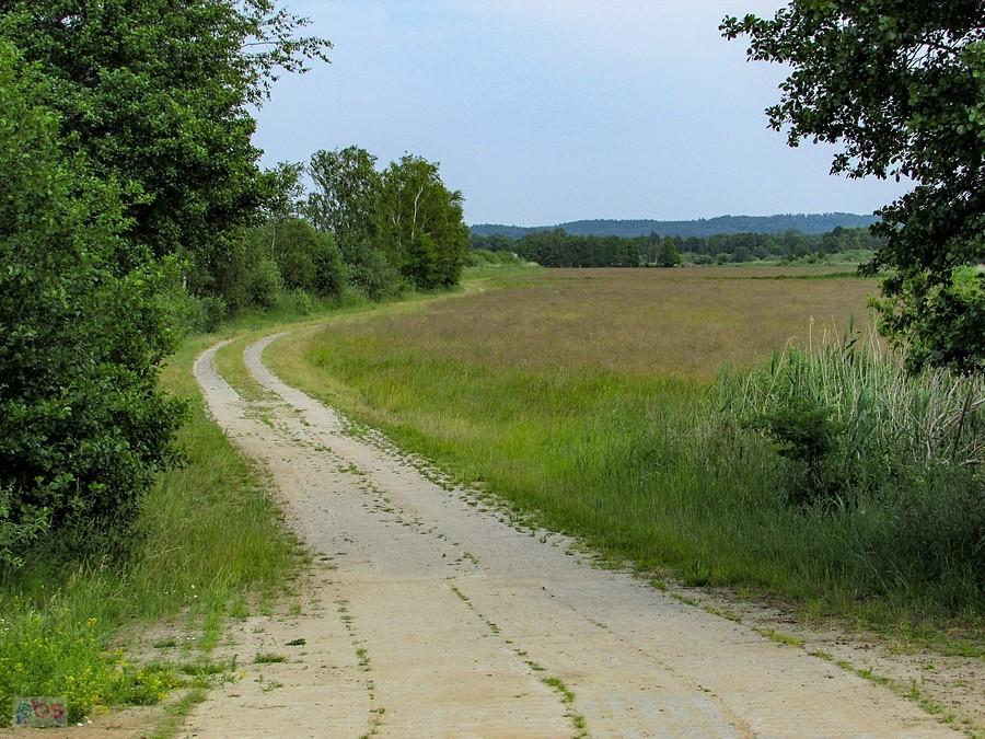 EuroVelo 10 wzdłuż jeziora Gardno