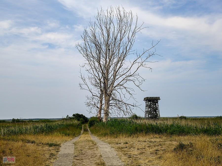 Droga do wieży widokowej nad jeziorem Gardno