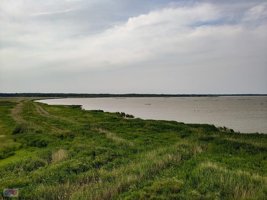 Widok z wieży widokowej na zach. brzeg Gardna