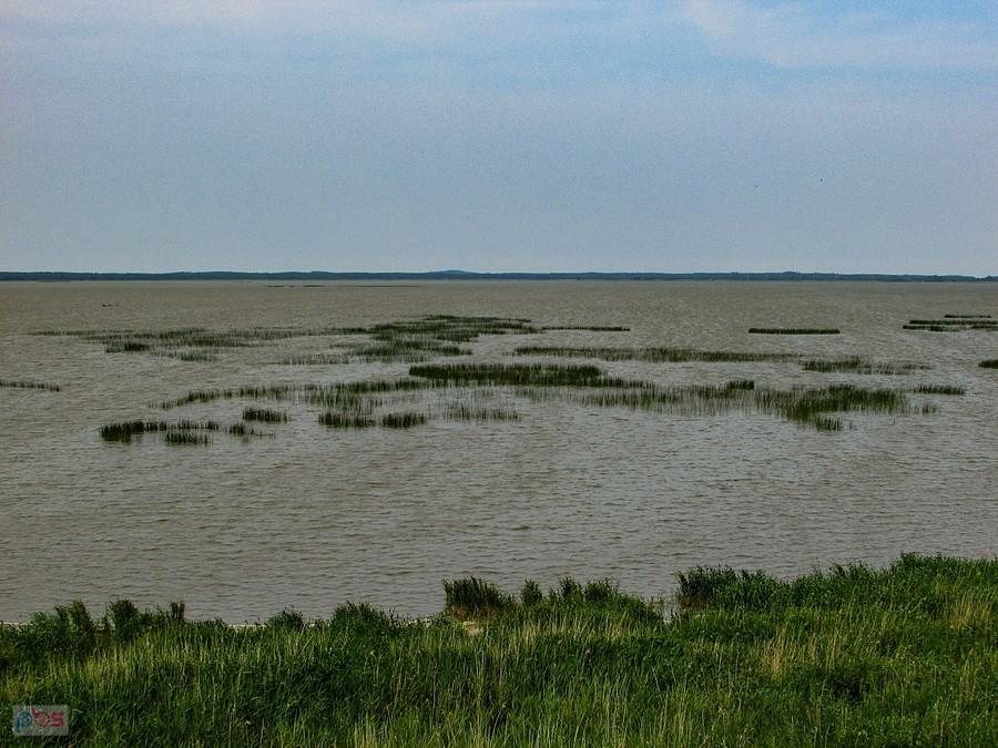 Jezioro Gardno jest płytkie, średnia to ok. 2,5 m głębokości
