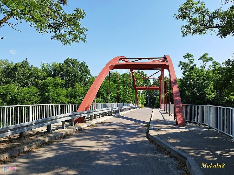 Dzierżno