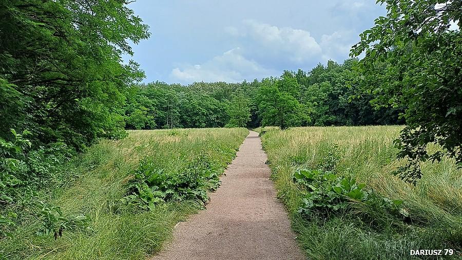 Sosniowiec - Milowice - Park Tysiąclecia