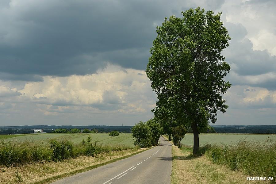 Trzebiesławice w stronę Siewierza