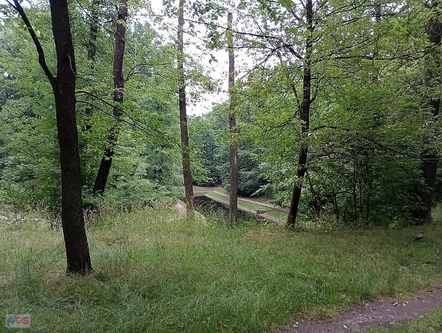 Fosa w parku na Forcie Bema