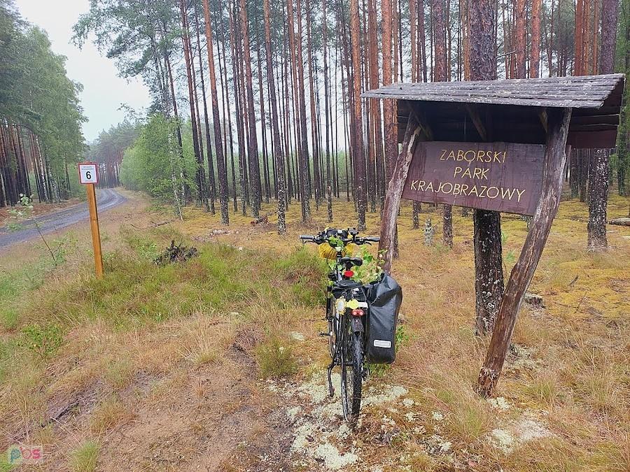 Zaborski Park Krajobrazowy