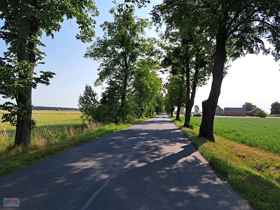 Trasa na Raszków