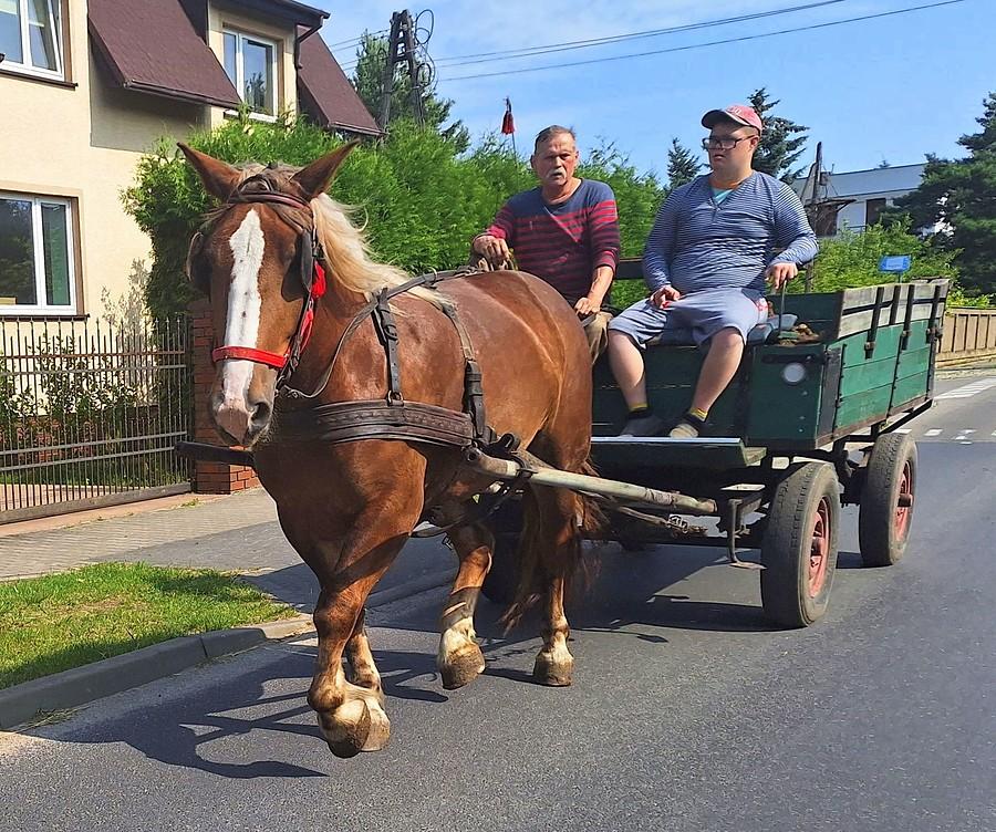 Takie tam z ponad półmilionowego miasta :)