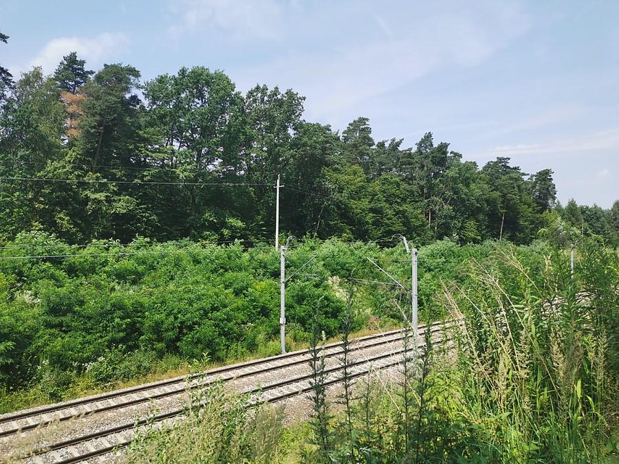 Dwa kilometry po płytach wzdłuż linii kolejowej