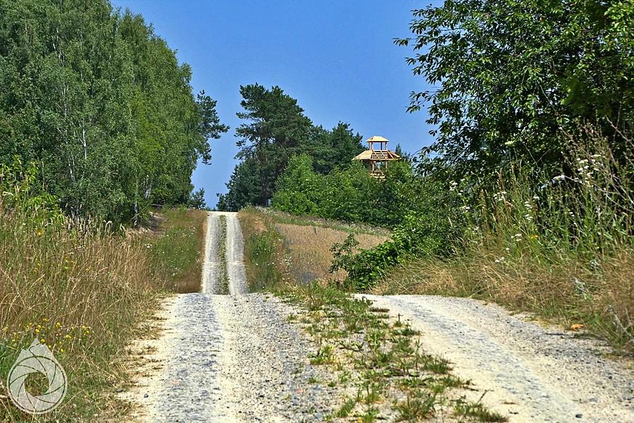 wieża widokowa na jedynym wzgórku nad Bugiem