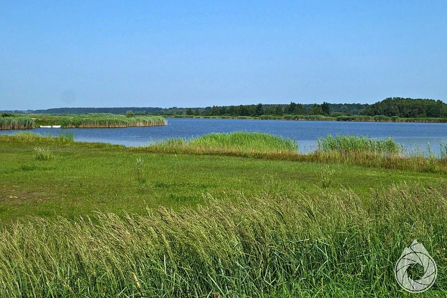 Zbiornik Niwa koło Sawin
