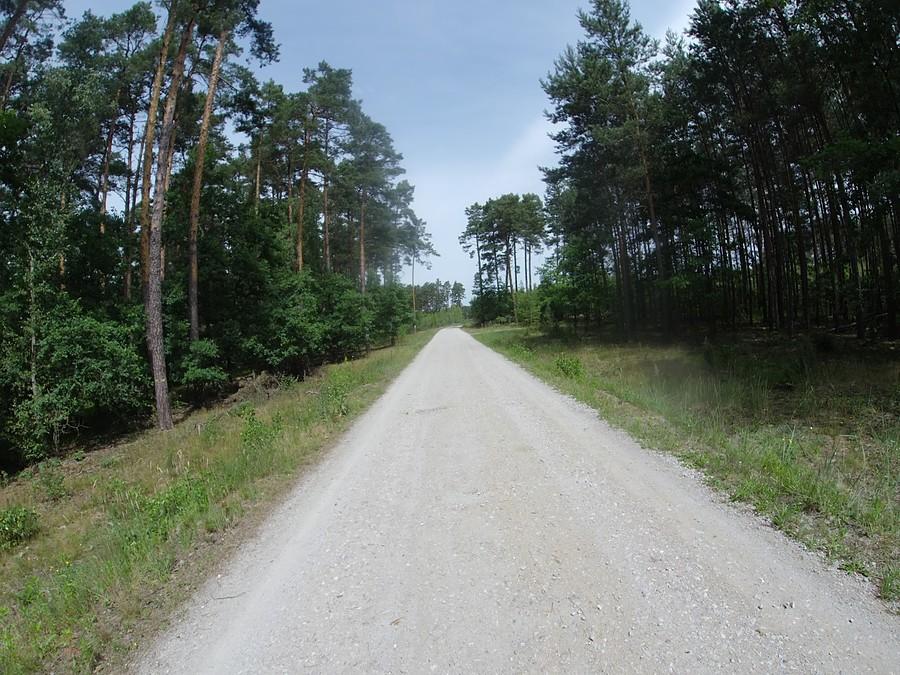 Szuterek jak ta lala!