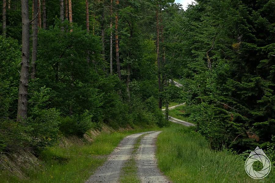 trasa Gravela Beskidzkiego