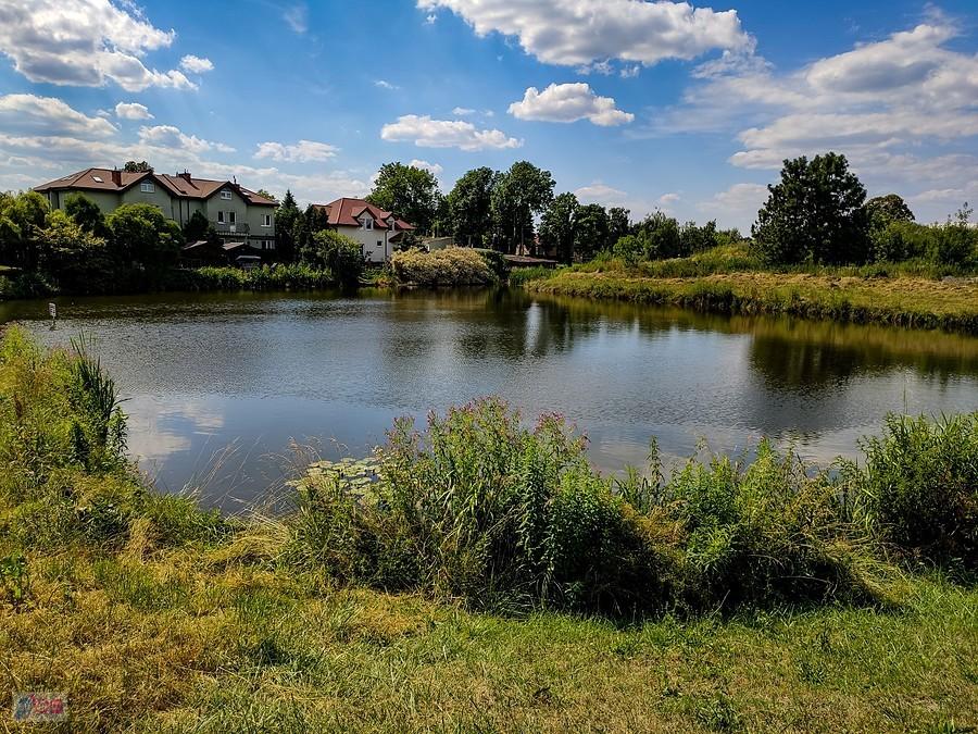 Staw Wąsal na rubieżach Ursynowa
