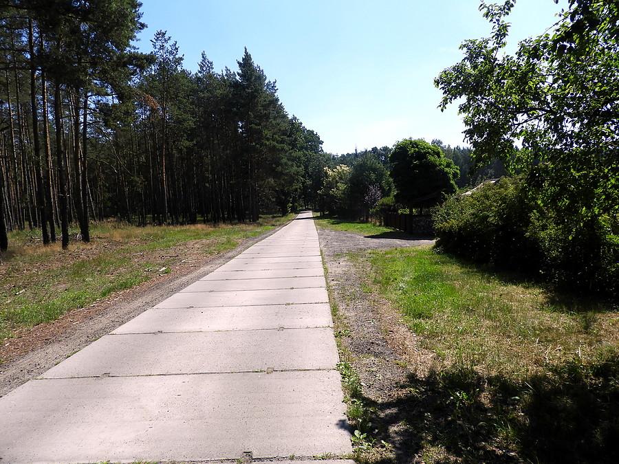 Koszmarna droga z płyt do Węgornika.