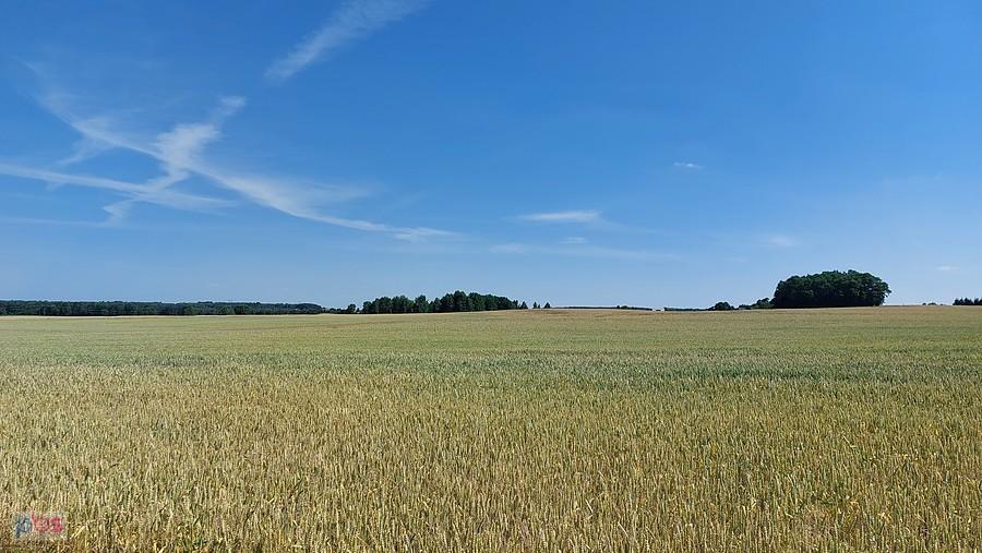 Lato na polach