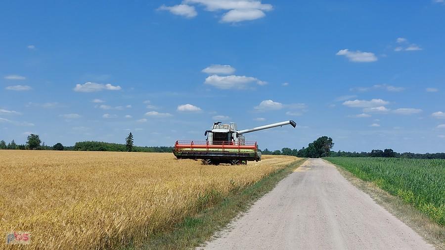 Kombajn w okolicy Żeromina
