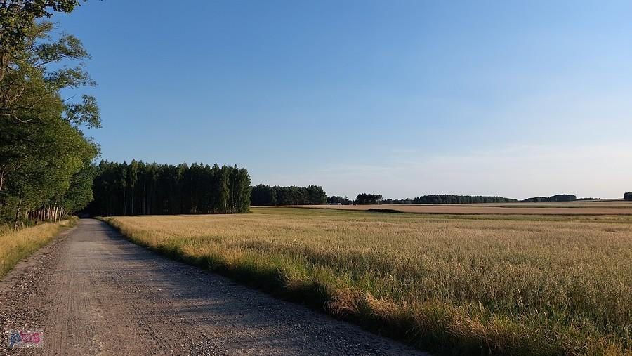 Droga przez Janowice