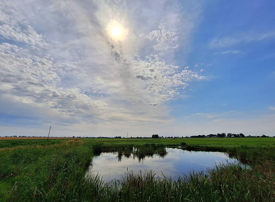 Szczodrzykowskie słońce