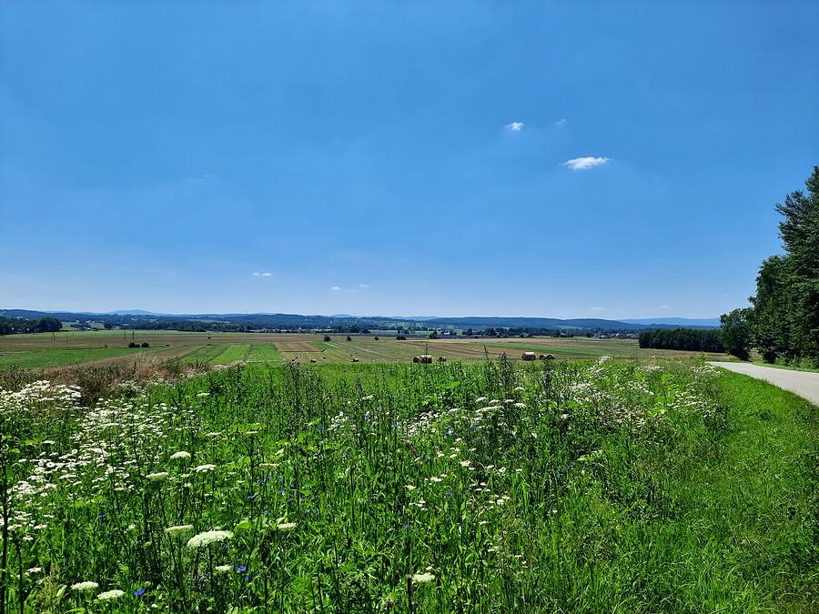 Beskid Niski zaprasza.