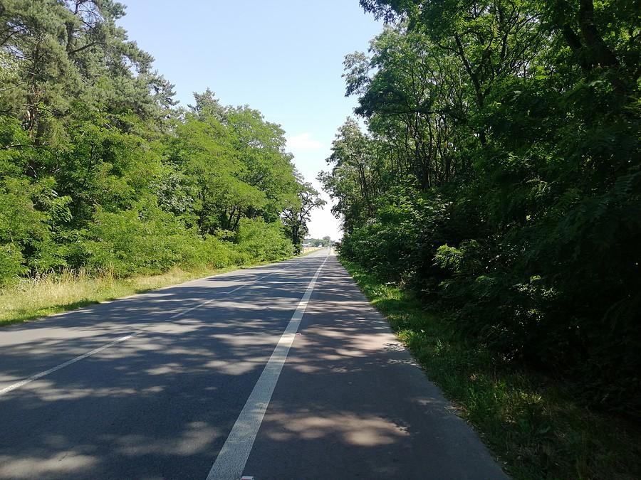Przed Goliną.