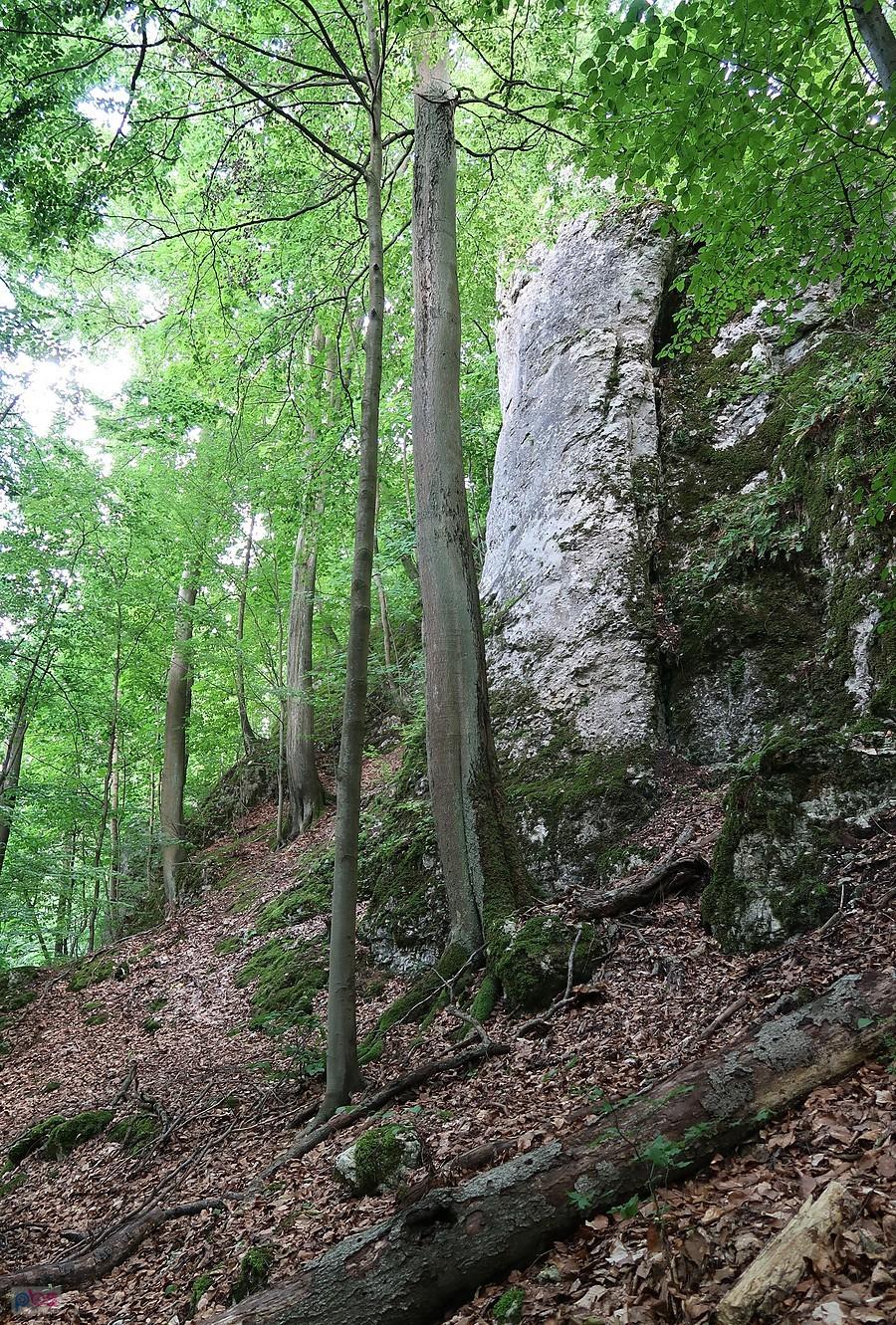 Sokola Baszta
