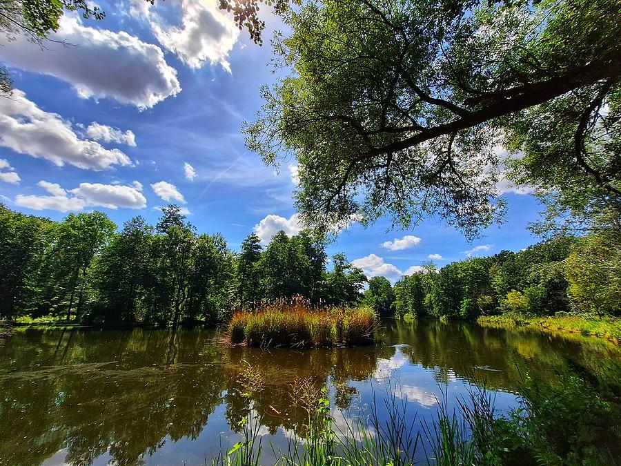 Barwy poznańskiej Dębiny