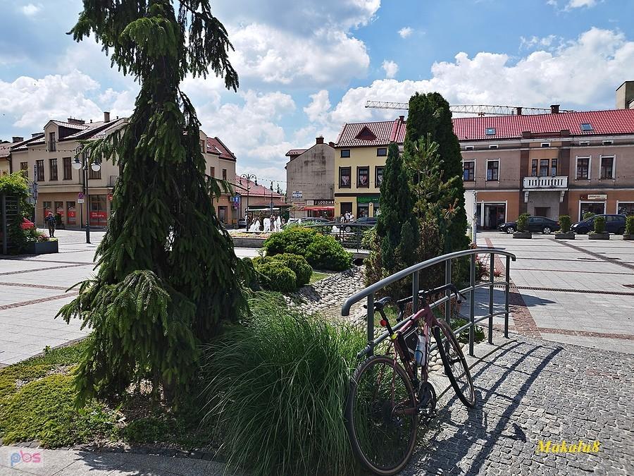 Na rynku w Trzebini