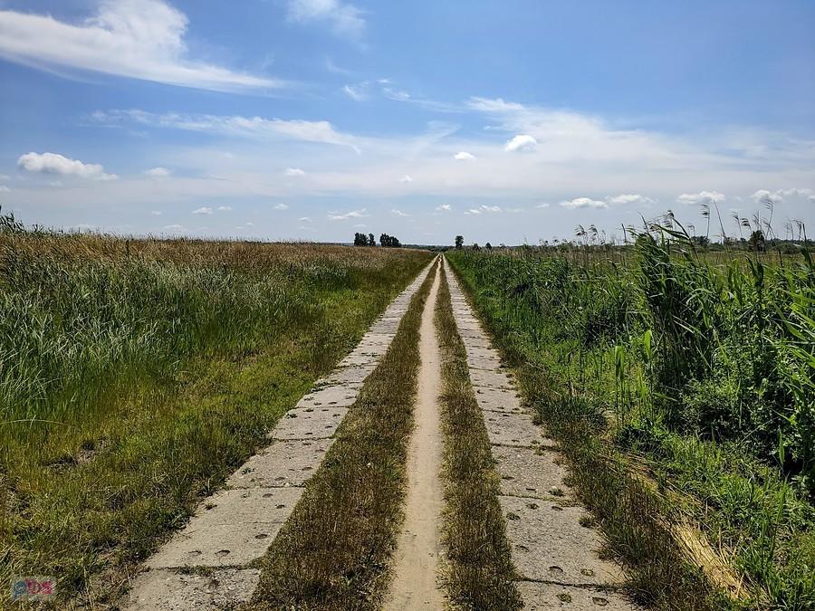 EuroVelo 10 z wyjeżdżoną ścieżką między płytami