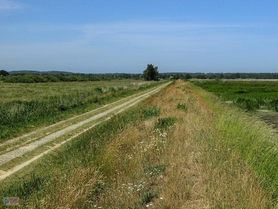 Łąki nad jeziorem Gardno