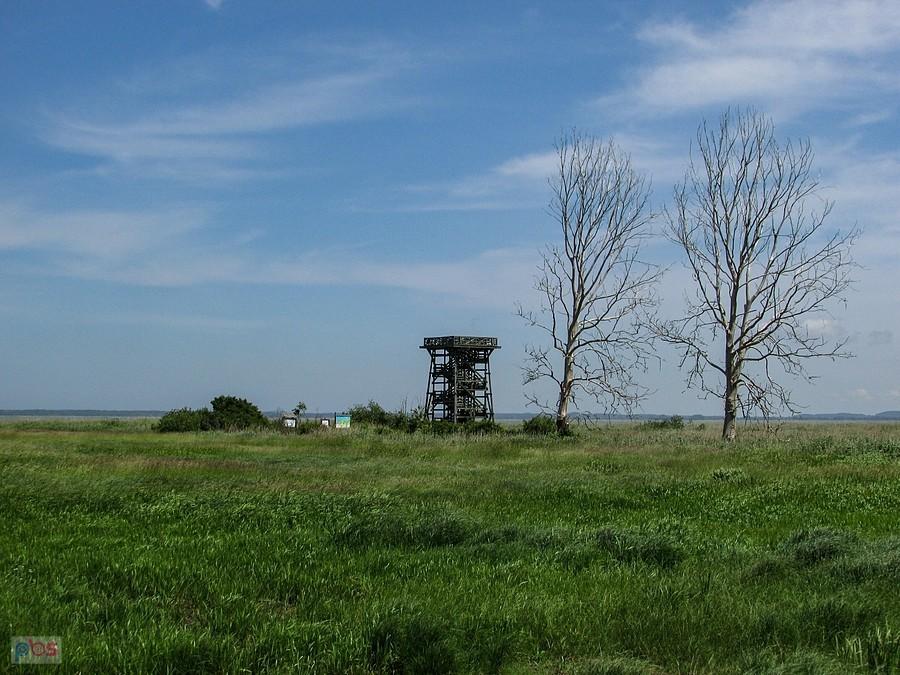Wieża widokowa