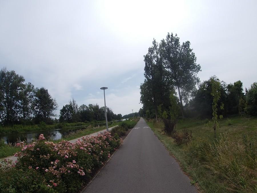 Droga rowerowa Kobiałka - Nieporęt