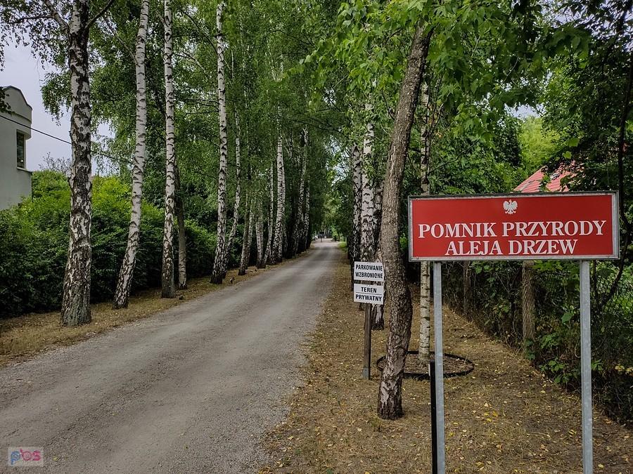 Tylko wybrani mogą przejść się tą alejką