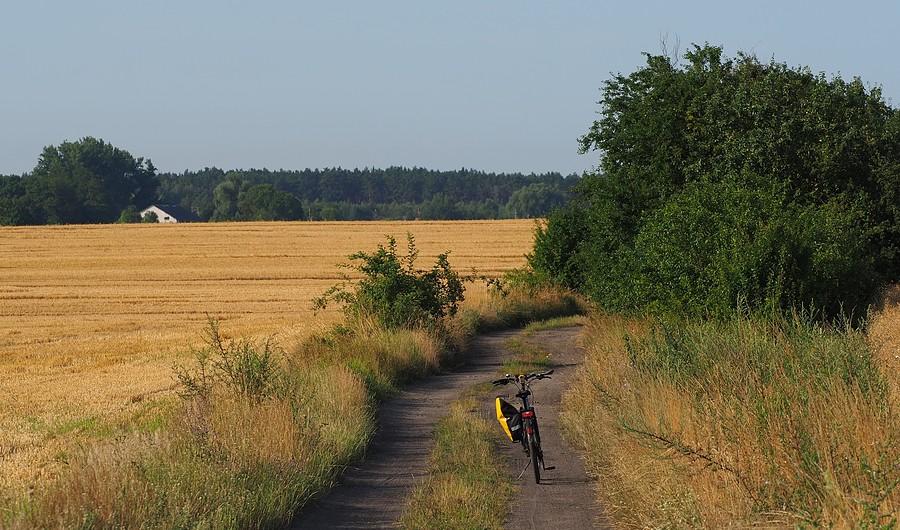 Z Drzeńska do Gajca