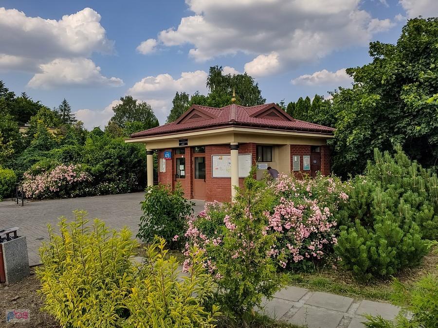 Wodopój przy Puławskiej