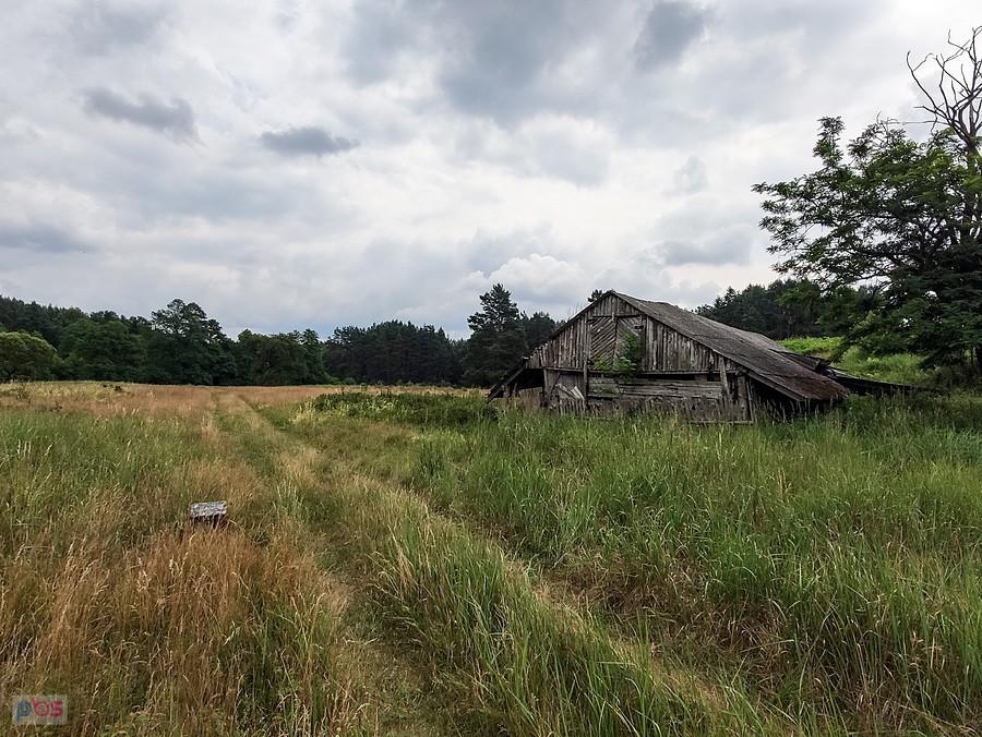 Łąki nad Drzewiczką