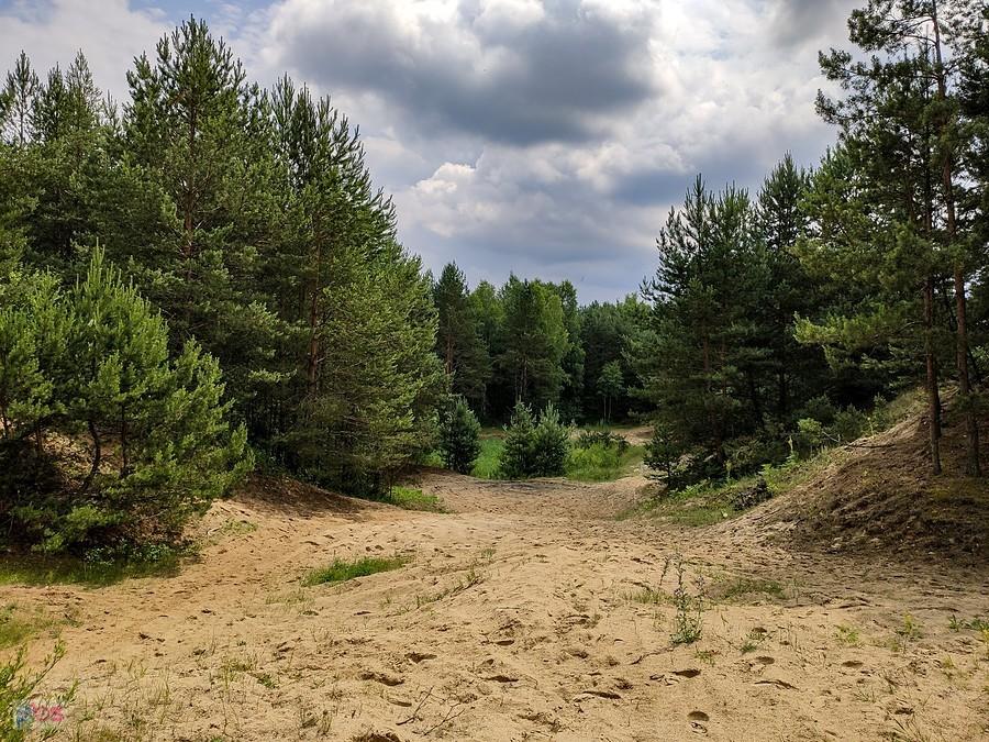 Piaskownica w lesie, tu gdzieś ukryty był PK