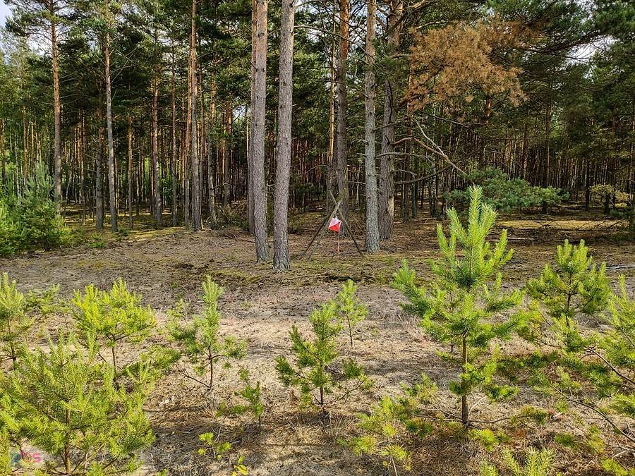 Ten PK na skraju lasu był ostatnim jaki zebrałem