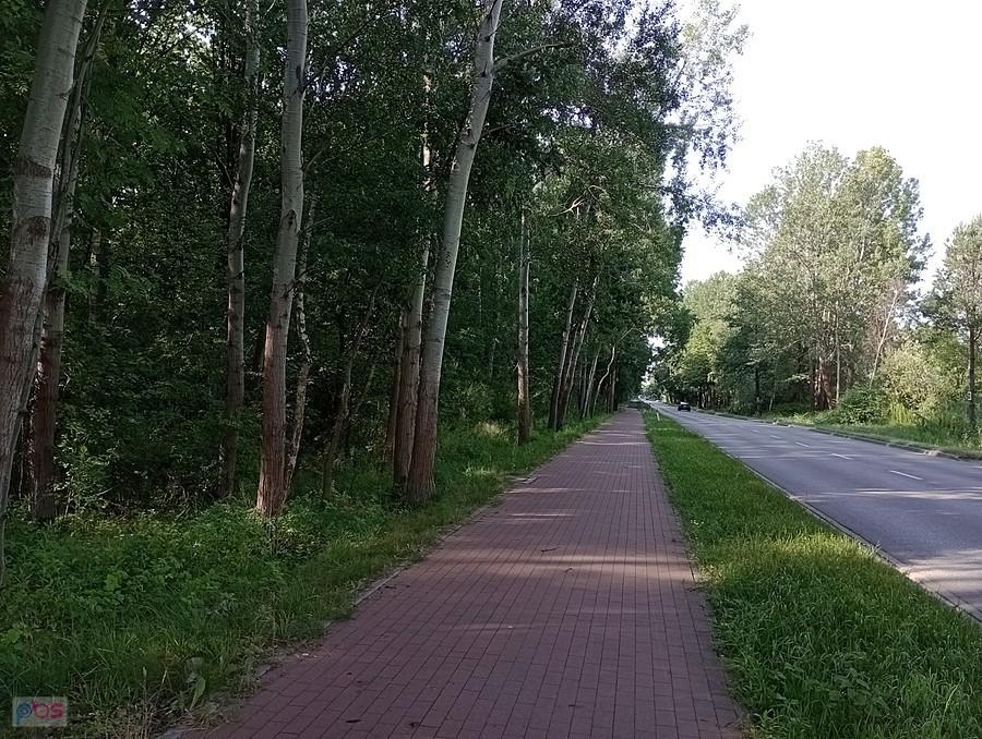 Przy lesie przyjemny chłód