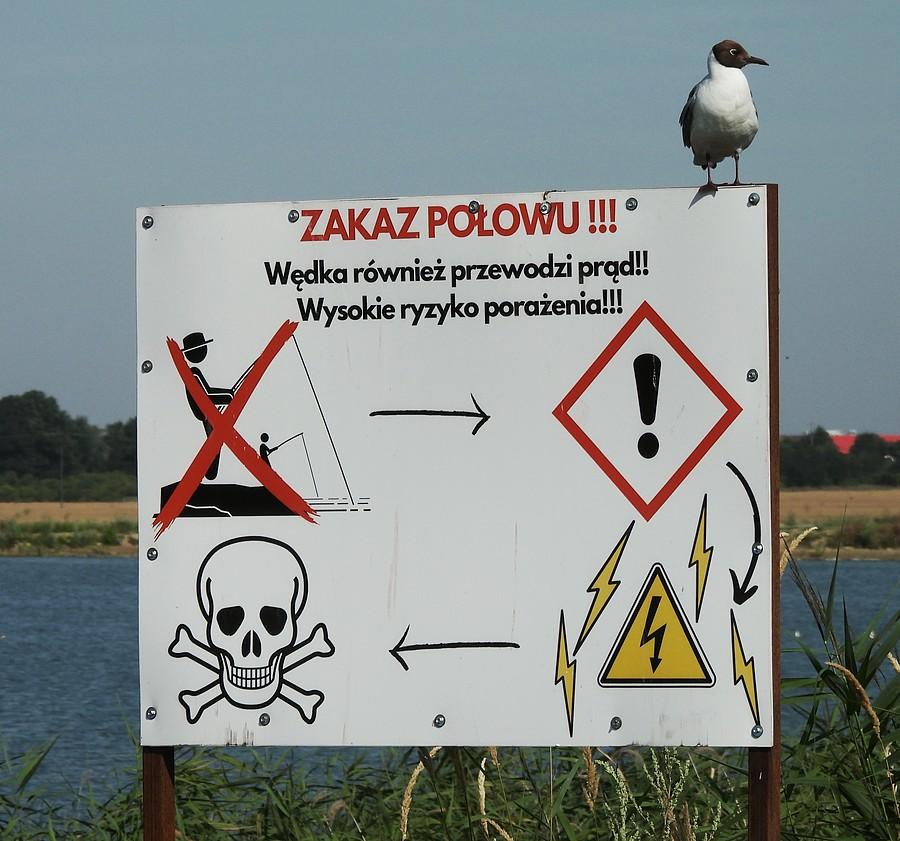 Strażnik zakazu