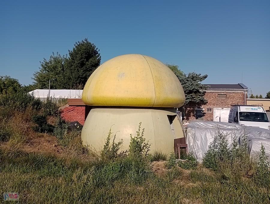 Domek- grzybek